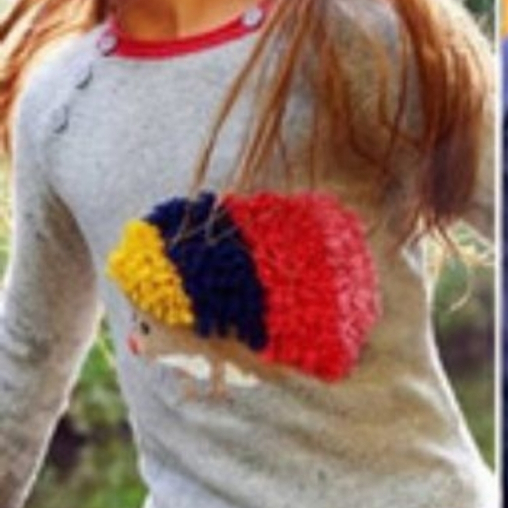 Mini Boden hedgehog  sweater 7/8
